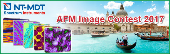 AFM Image Contest 2017